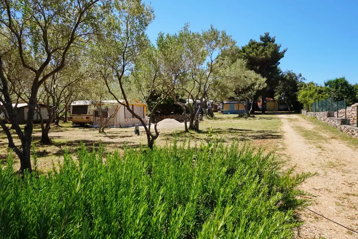 Camp Stipanić
